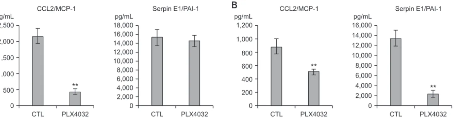 Fig. 8. Expression of CCL2/MCP-1 and serpin E1/PAI-1 after PLX4032 treatment. (A) TPC1 cells were treated for 72 hours  with 10 μM of DMSO (CTL) or PLX4032