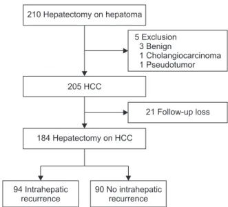 Fig. 1. Flow schematic of patients. HCC, hepatocellular  carcinoma.