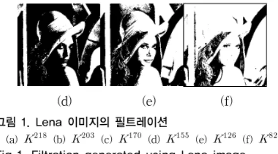 Fig 1. Filtration generated using Lena image  (a)      (b)      (c)      (d)      (e)      (f)    이와  같이  필트레이션이  주어지면  그림  2에  제시한  바 와  같이  PBN에  대한  지속구간  다이어그램을  구할  수  있 다