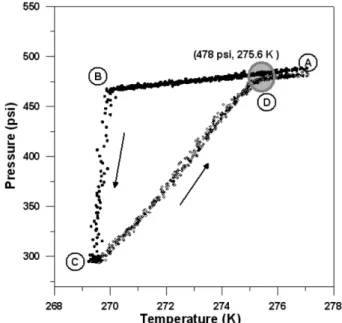 Fig. 4. Temperature and pressure traces for formation of simple meth- meth-ane hydrates.