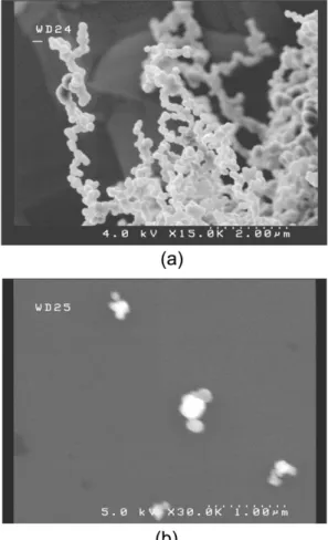 Fig. 1. SEM images of pyrocarbon particles sampled for (a) 30 min and (b) 30 sec (Experimental conditions: 30 sccm C 2 H 2  in 1500 sccm N 2  at T=1,000 o C)