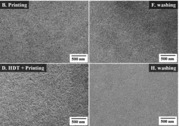 Fig. 6. Scanning electron micrographs of QDs thin films on CAPO/