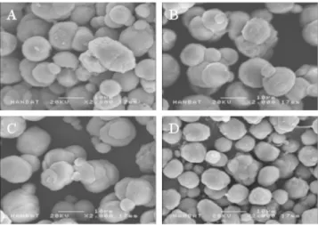 Fig. 4. Morphological changes of CaCO 3  with time, crystallized at pH