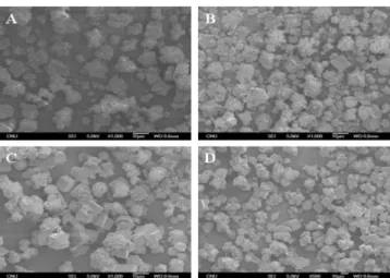 Fig. 6. Morphological changes of CaCO 3  with time without silk fibroin, crystallized at pH = 7.0.; (A) t = 2 min; (B) t = 15 min; (C) t = 2 hr; (D) t = 24 hr [Exp