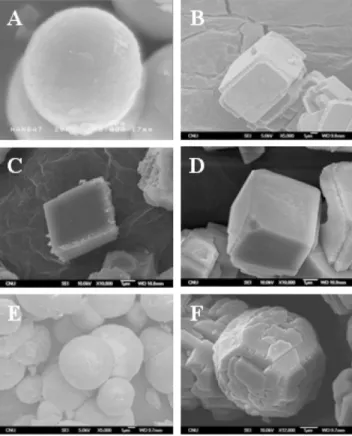 Fig. 3. Polymorphism of calcium carbonate according to the change of crystallization conditions.