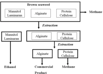 Fig. 4. Biomass energy conversion processes and products[37].