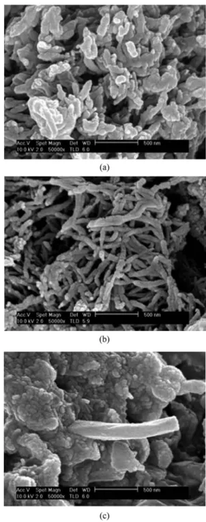 Fig. 1 은 PAN, CNT/PAN, CNT/PAN/RuO 2 전극의 표면분석을 위 해 관찰한 FE-SEM 이미지이다. Fig. 1(b)에서 PAN이 CNT 표면에 매우 균일하게 덮여 있는 것을 확인할 수 있다