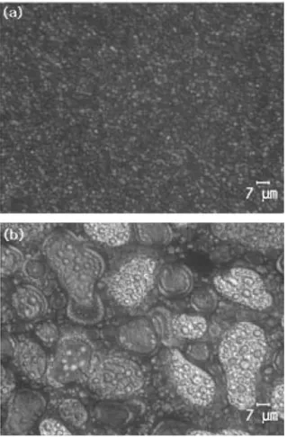 Table 4. The measured domain diameters of PDLC cells made of include resin and except for resin about domain diameters