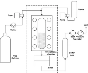 Table 1. Experimental conditions for the investigation of the effects of the operating conditions