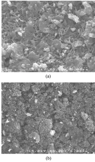 Table 1. The characteristics of the resin-supported nanoscale zero valent iron. 