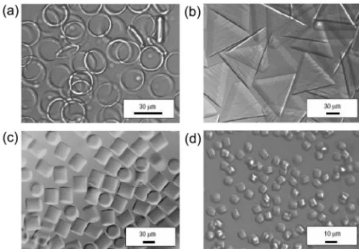 Fig. 6. Optical microscope images of various-shaped colloidal parti- parti-cles by continuous-flow microfluidic lithography.