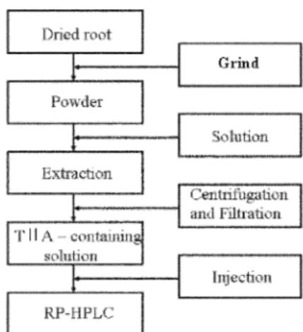 Fig. 2. Extraction and purification procedures of SMB.