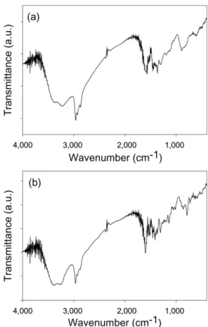 Fig. 2. TEM images of the polypyrrole nanoparticles precipitated in (a) B3 and (b) P3 solutions.