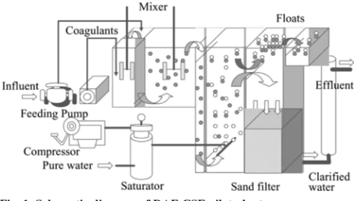 Fig. 1. Schematic diagram of DAF-CSF pilot plant.