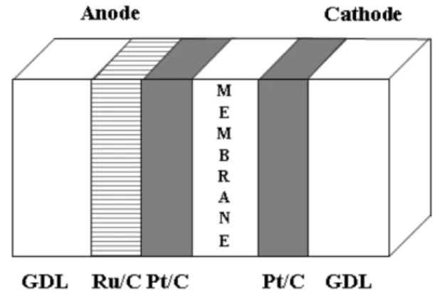 Fig. 1. Schematic diagram of CO-filtered membrane and electrode assembly. 