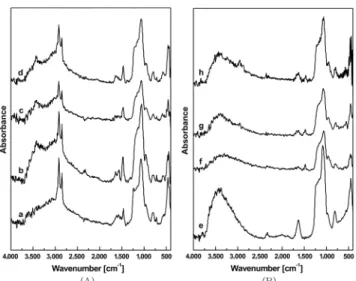 Fig. 4. The amount of the Re uptake in batch adsorption tests: (A) the amount of Re adsorbed per weight of adsorbents and (B) per the amount of amine functional group