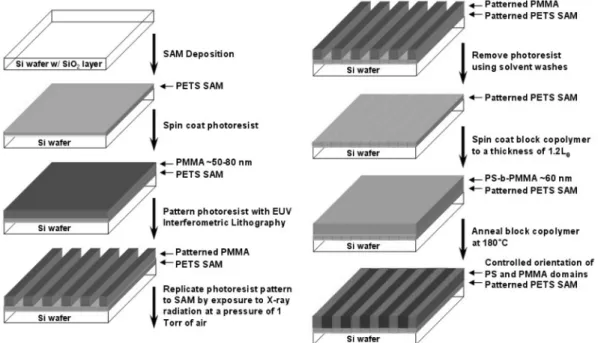 Fig. 2. (a) Lamellae were oriented perpendicularly with no long- long-range order on unpatterned regions of the surface