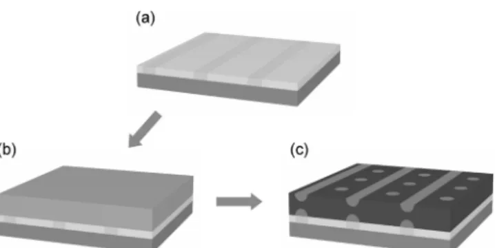 Fig. 9. Experimental procedure for directed assembly of the novel nanostructure in block copolymer thin films.