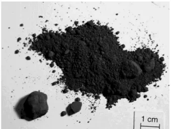 Fig. 12. Silicon powder produced by SiH 4  pyrolysis [Mueller, 2005 Barcelona].