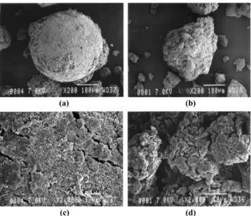 Fig. 4. SEM images of ethylene/1-octene copolymer particles: with embedded catalyst (a, c); with homogeneous catalyst (b, d).