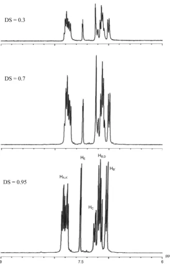 Fig. 7. SEM pictures of SPEEK top layer on the polycarbonate (×