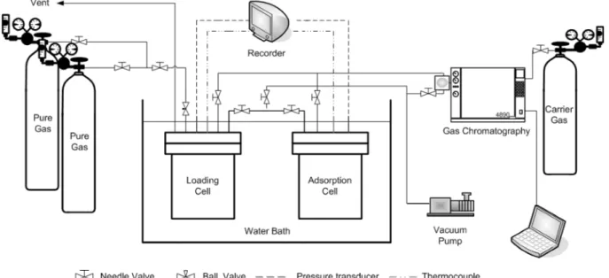 Fig. 1. Schematic diagram for mixture gas-adsorption equilibrium system.