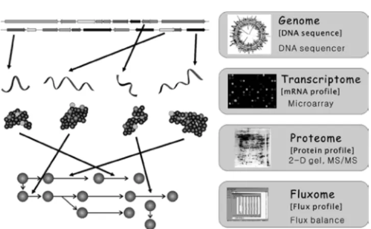 Fig. 1. Tools for Systems biotechnology.