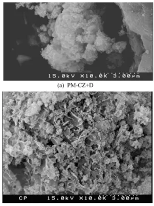 Fig. 3. SEM images of hybrid catalysts by physical mixing method (PM-CZ+D) and precipitation method (CP-CZA/D).
