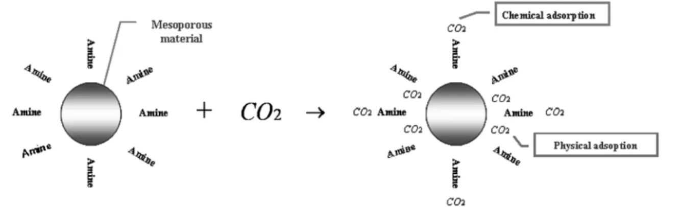 Fig. 8. The principle of carbon dioxide adsorption on the amine impregnated mesoporous material