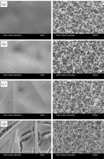 Fig. 3. Size distribution of nanoparticle-agglomerates synthesized by laser ablation.