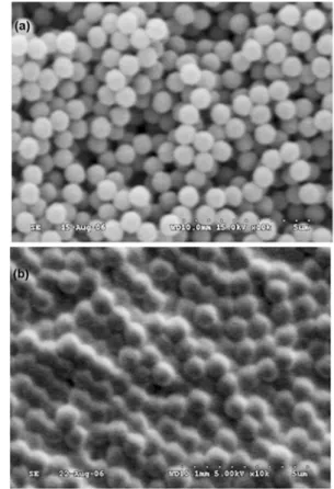 Table 2. Detailed reaction condition for the silica coating reaction of amidine polystyrene clusters