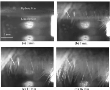 Fig. 5. Photographic images near bounding surface between gas and liquid regions taken at different elapsed times during  experi-ment 2 (13.7 K undercooling).