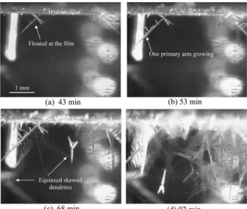 Fig. 10. Photographic images of floating crystals taken at different elapsed times during experiment 6 (8.1 K undercooling).