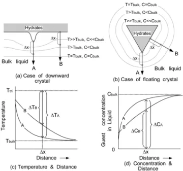 Fig. 11. Temperature and concentration profile near coner (A) and flat (B) surface of hydrate crystal.