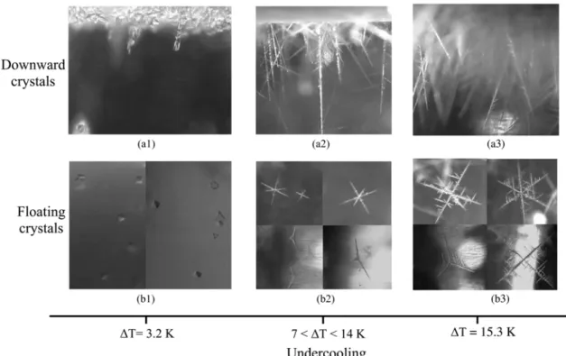 Fig. 12. Morphology diagram as function of undercooling. (a1) Faceted column. (a2) Downward crystals with branches