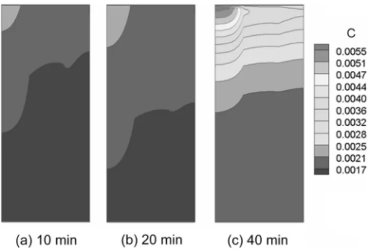 Fig. 11. The distribution of the concentration of sulfuric acid within the cell after 10, 20, and 40 minutes of charge with constant  cur-rent of 30 A for 1 hour and then with the constant voltage of 14.24 V.