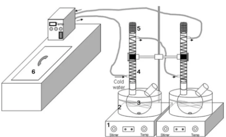 Fig. 1. Experimental set-up for the preparation of ionic liquid catalysts.