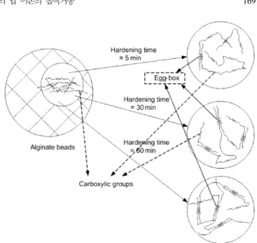 Fig. 4. Proposed mechanisms for surface complexation and ion exchange.