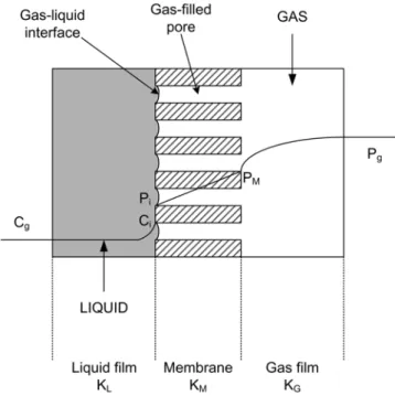 Fig. 1. Non-wetted mode of hydrophobic.