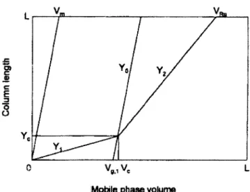 Fig. 1. Solute migration in step-wise gradient mode.