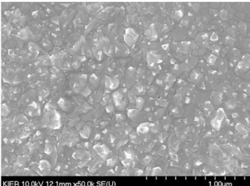 Fig. 2. SEM images of a stainless steel mesh and its nascent surface.