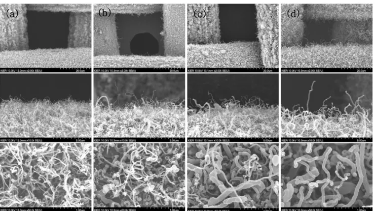 Fig. 9. SEM images of carbon nano-materials grown from catalytic particles on meshes activated by the reduction with H 2  gas of 400 sccm and Ar gas of 1000 sccm at 600 o C during 10 min