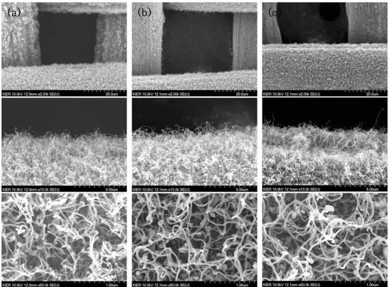 Fig. 11. SEM images of carbon nano-materials grown from catalytic particles on meshes activated by the reduction with H 2  gas of 400 sccm mixed with Ar gas of 1000 sccm at 600 o C during different reduction times, (a) 10 min, (b) 20 min, and (c) 30 min