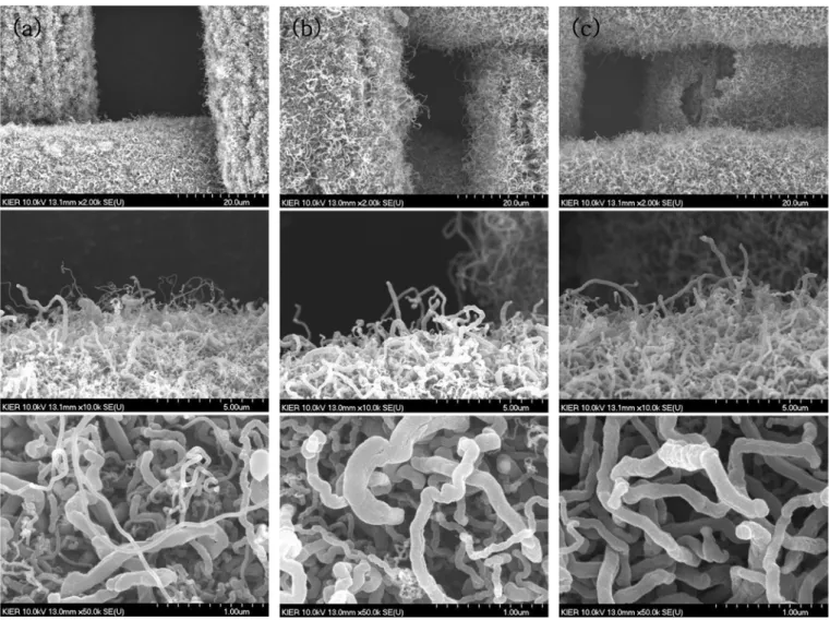 Fig. 12. SEM images of carbon nano-materials grown from catalytic particles on meshes activated by the reduction with H 2  gas of 400 sccm mixed with Ar gas of 1000 sccm at 600 o C during different reduction times, (a) 10 min, (b) 20 min, and (c) 30 min