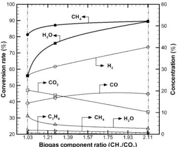 Fig. 3. Effect of the various biogas component ratios.