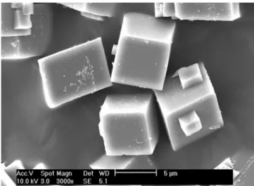 Fig. 2. Scanning electron micrograph of as-synthesized SAPO-34.