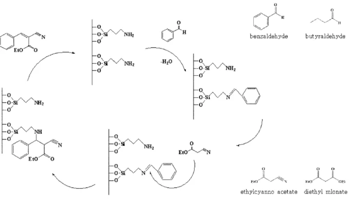 Table 3. Conversion and TON of the various amine-grafted catalysts 