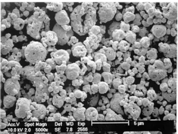 Fig. 10. SEM photographs of SrTiO 3 :Pr,Al phosphor particles pre- pre-pared by flame spray pyrolysis.