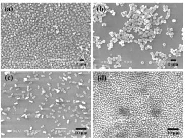Fig. 1. SEM images of the Anodiscs attached with silicalite-1 crystals with different sizes of (a) 0.5 µ m, (b) 0.5 µ m, (c) 4 µ m, and (d) 1.2 µ m.