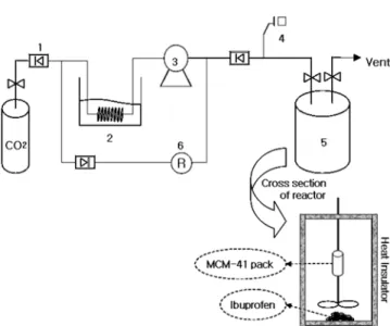 Fig. 1. Schematic diagram of the supercritical impregnation apparatus.